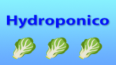 Hydroponico