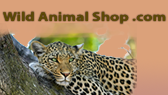 Wild Animal Shop